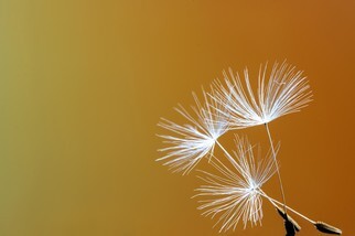 IMG_3768-1ohne.jpg